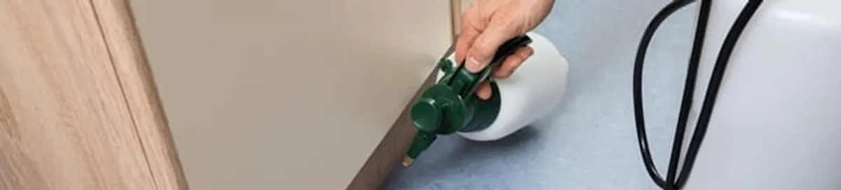 Bed bug exterminator treating baseboards and cracks with targeted spray in San Antonio, TX