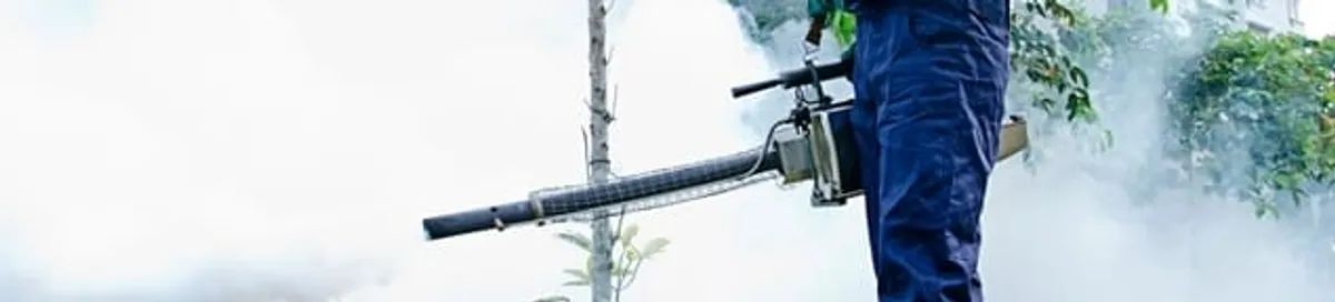 Pest control technician fogging an outdoor area for insect control in San Antonio, TX