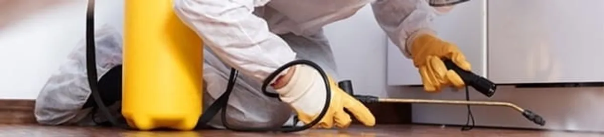 Roach exterminator treating cracks and crevices along kitchen baseboards in San Antonio, TX