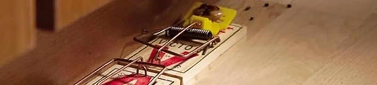 Rodent trap set indoors for rodent control and prevention in San Antonio, TX